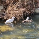 두바퀴쉼터옆 이미지