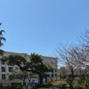 호텔마레 | 더시에나프리모 제주 마사지추천 스파마레 호텔스파 내돈내산후기 (+ 할인