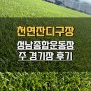 성남종합운동장 인조잔디구장 이미지