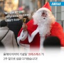 크리스마스 트리, 한국에서 유래됐다? 이미지