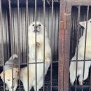 다니엘농장 이미지