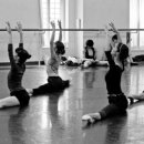 로잔발레학원 이미지