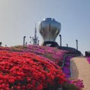 구봉산전망대 이미지