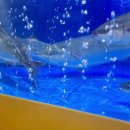 당진어시장 이미지