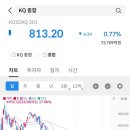 와이홀딩스