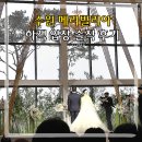 강남시장(개방) | 수원 메리빌리아 뷔페 가든홀 주차 하객 솔직후기 웨딩홀 결혼식장