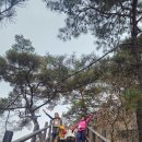 2025-11-23-공주 계룡산 동학사 산행 창립28주년 기념행사 -라한호텔 이미지