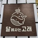 달에사는고래