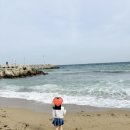 하저해수욕장(모래사장) 이미지