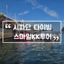 말레이시아 시파단 다이빙 스마일KK투어 셈포르나 한인샵 내돈내산