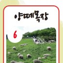 풍전목장 이미지