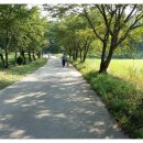 성하리 마을회관 이미지