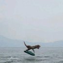 시계토끼 이미지