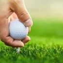 일산골프 MGA 이미지