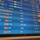 내가쏠께 | 푸꾸옥 여행 : 비엣젯 항공 이용 꿀팀 총정리!(아이동반, 대단위 가족 여행 후기)