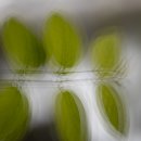 일월수목원-자유작 이미지