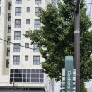 서울오케이내과의원 이미지