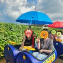 깡통열차체험 네이버블로그