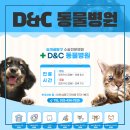 D&C동물병원 | 반려인들에게 신뢰감을 줄 수 있는 동물병원블로그제작하기
