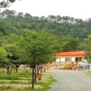 쿵쿵소 캠핑장