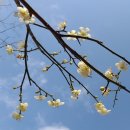 원동마을길 이미지