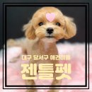 젠틀펫동물병원 이미지