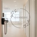블루미 뷰티 네이버블로그