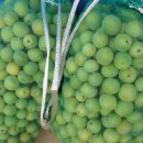 대광농장 이미지