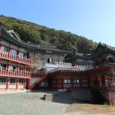 괴정1동-8 이미지