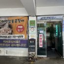 해변곰장어 이미지