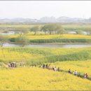 강변의 수채화 이미지