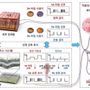 고려모사 뉴시스