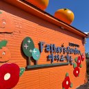 연우농장 | 제주도 핑크뮬리 명소 추천 바람마저 예뻤던 아기와 함께한 파더스가든