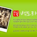 숲골 이미지