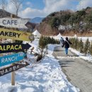 다산목장 이미지