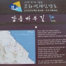 바우길 11구간 | 강릉여행