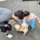 CU 춘천두미르2차점 | 가평 가볼만한곳 월하담풀빌라 온수풀 최고였어요