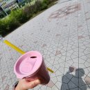빽다방세종새롬