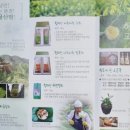 황매산 허굴산방 이미지