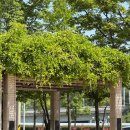 삼산수목학습원 화장실 | [울산/갈곳] 울산 삼산 수목학습원(근린공원)