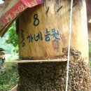 남도카센타 이미지