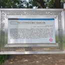 양성 석조여래입상 이미지