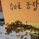 산속골농장 이미지