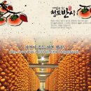 정직한몰