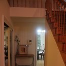 바다가 그리운 나무 이미지