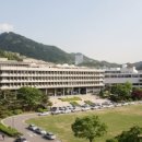 서울대학교