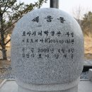 호야지리박물관 이미지