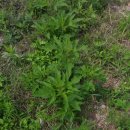 수영강 관리사무소 이미지