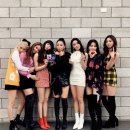 승희플라워 이미지