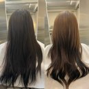 연남동미용실 추천 :: 어네프 탈색없이 매트브라운 염색